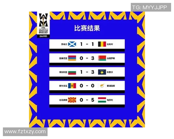 欧洲杯预选赛精彩比分回顾与分析助力球队晋级之路